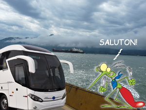 belinsulo